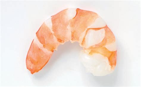 1 cooked and peeled prawn white background