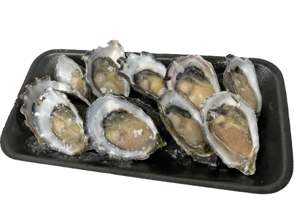 dozen half shell south australian large oysters on tray with no background