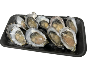 dozen half shell south australian large oysters on tray with no background