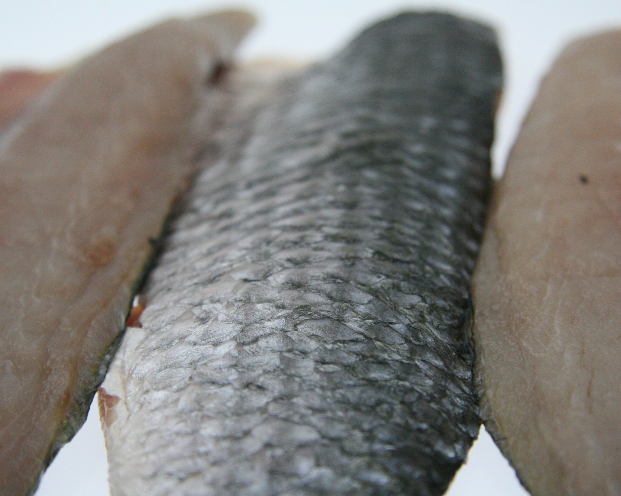 Markwell Skin On Mullet Fillets – Seafood At Home